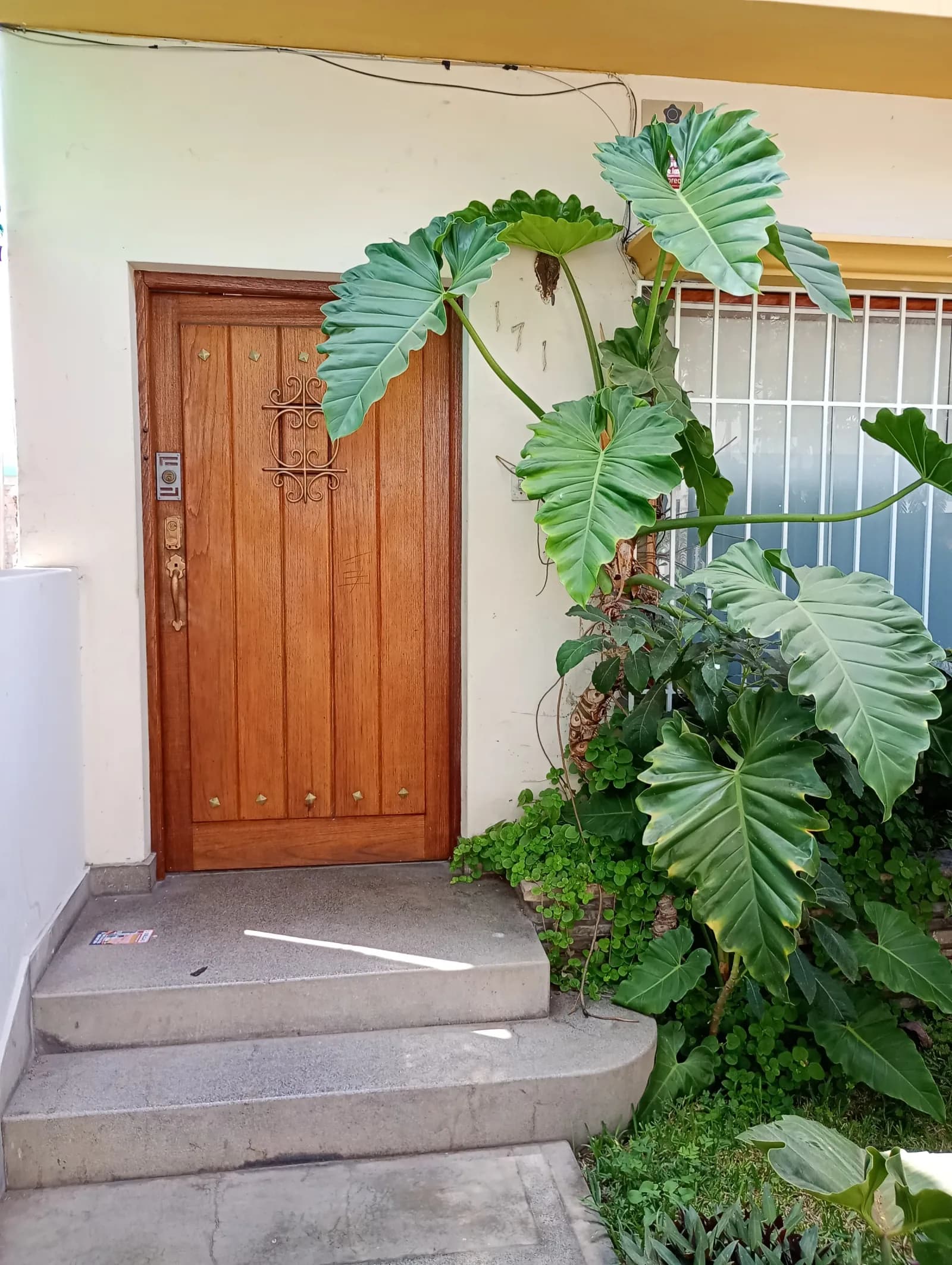 Casa departamento – foto 2