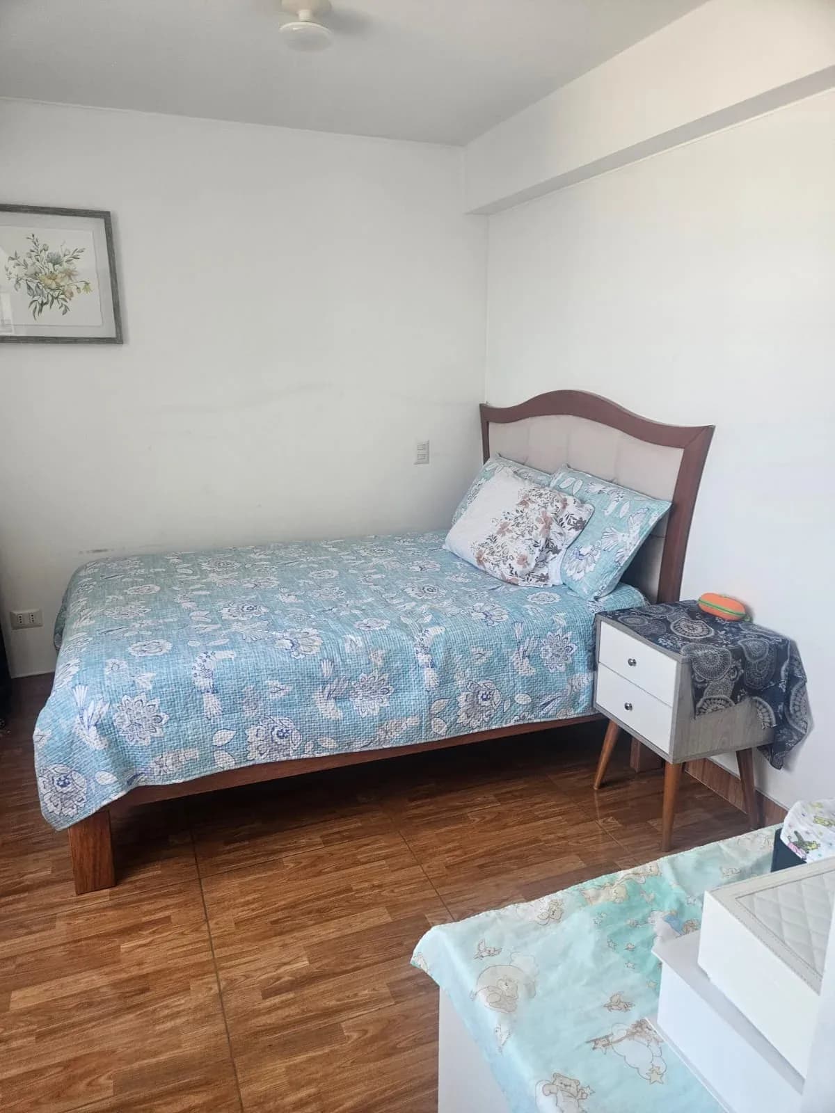 ALQUILO DPTO COCHERA Y DEPOSITO PUEBLO LIBRE S/2800 – foto 10