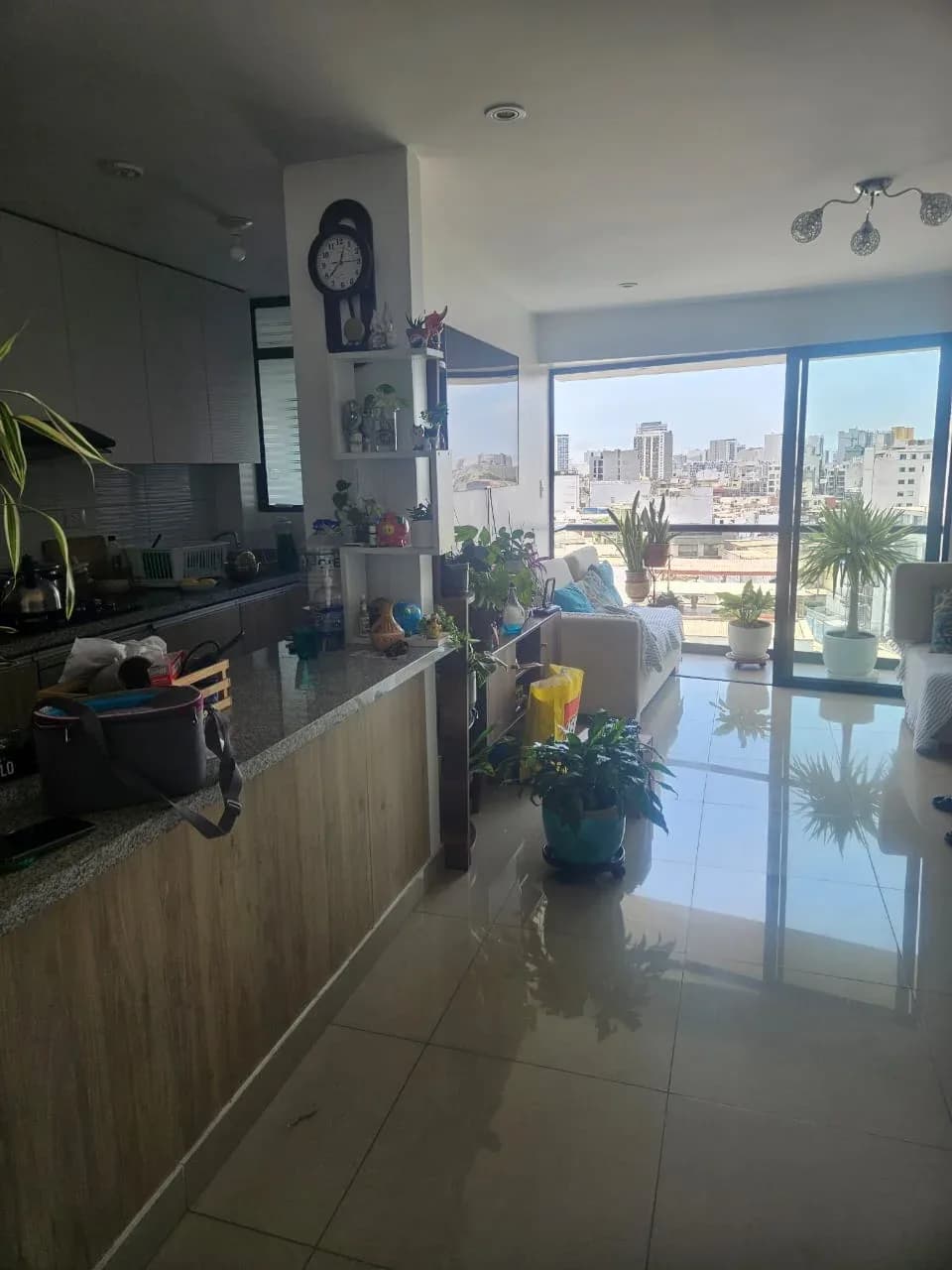 ALQUILO DPTO COCHERA Y DEPOSITO PUEBLO LIBRE S/2800 – foto 6