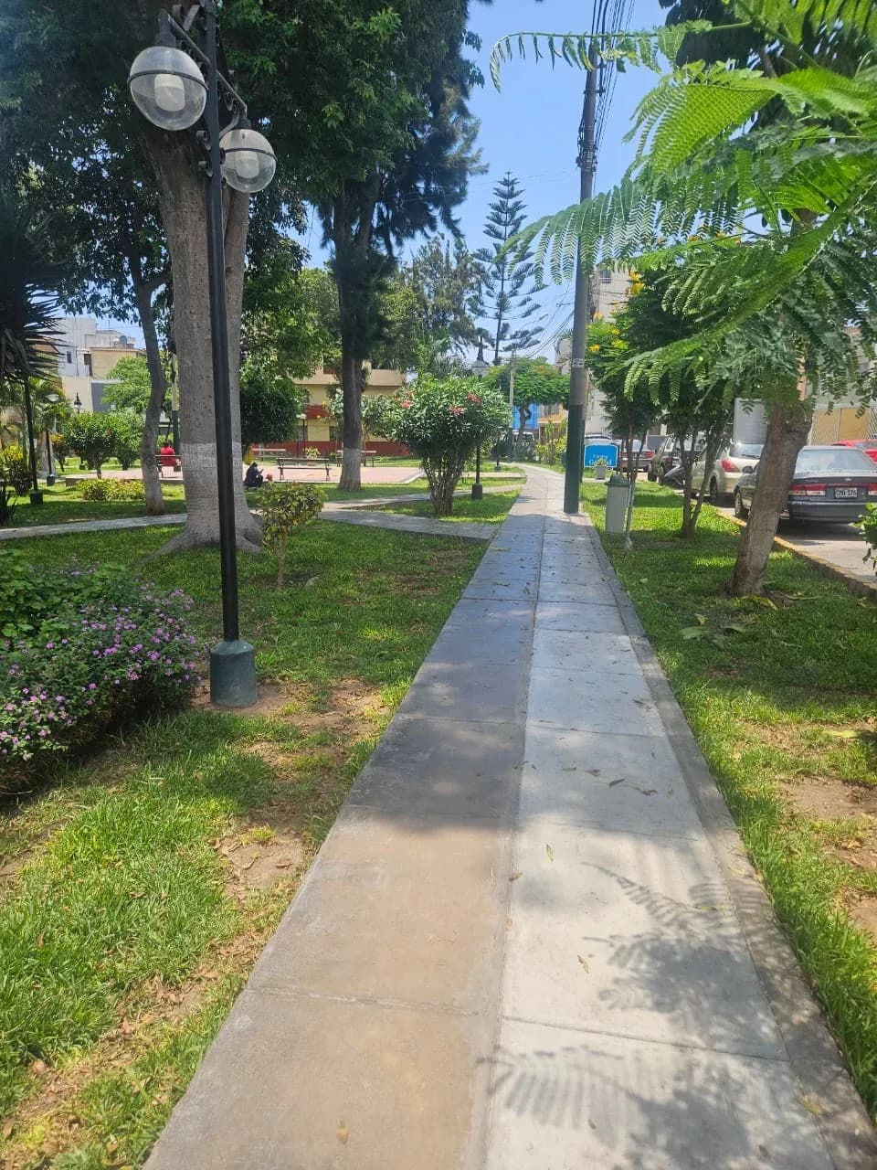 ALQUILO DPTO COCHERA Y DEPOSITO PUEBLO LIBRE S/2800 – foto 3