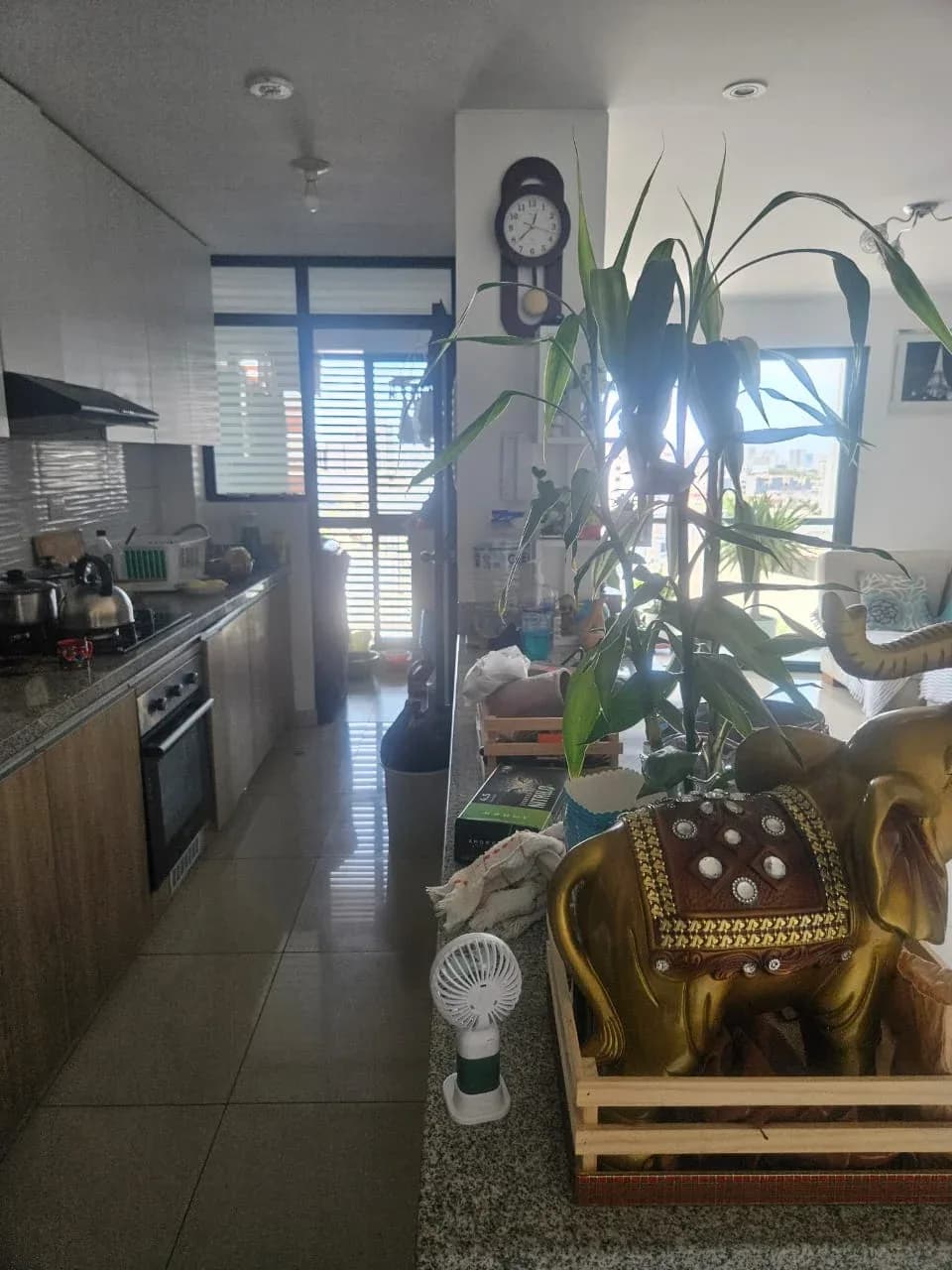 ALQUILO DPTO COCHERA Y DEPOSITO PUEBLO LIBRE S/2800 – foto 4