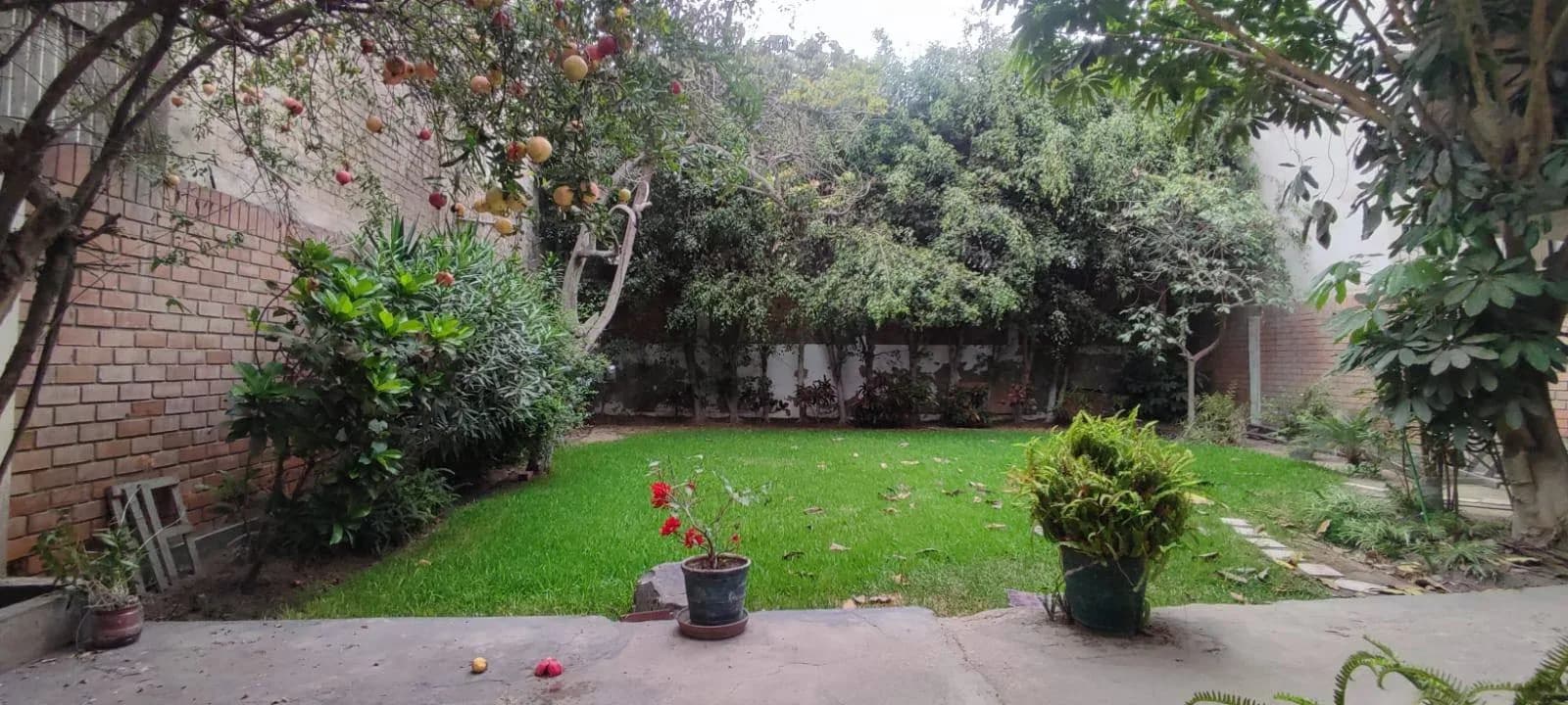 CASA EN VENTA EN LA MOLINA – foto 2