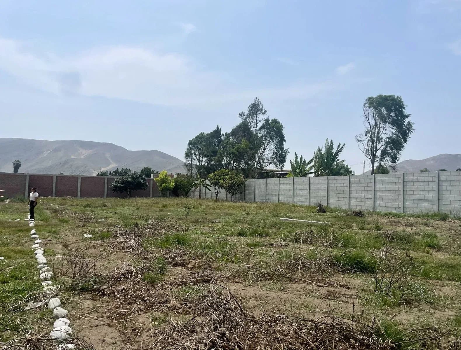 Terreno en Aucallama-Huaral – Ideal Casa de Campo o Inversión – foto 4