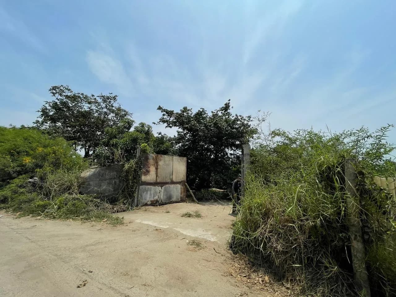 Terreno agrícola en Huaral ¡SE VENDE POR VIAJE! – foto 3