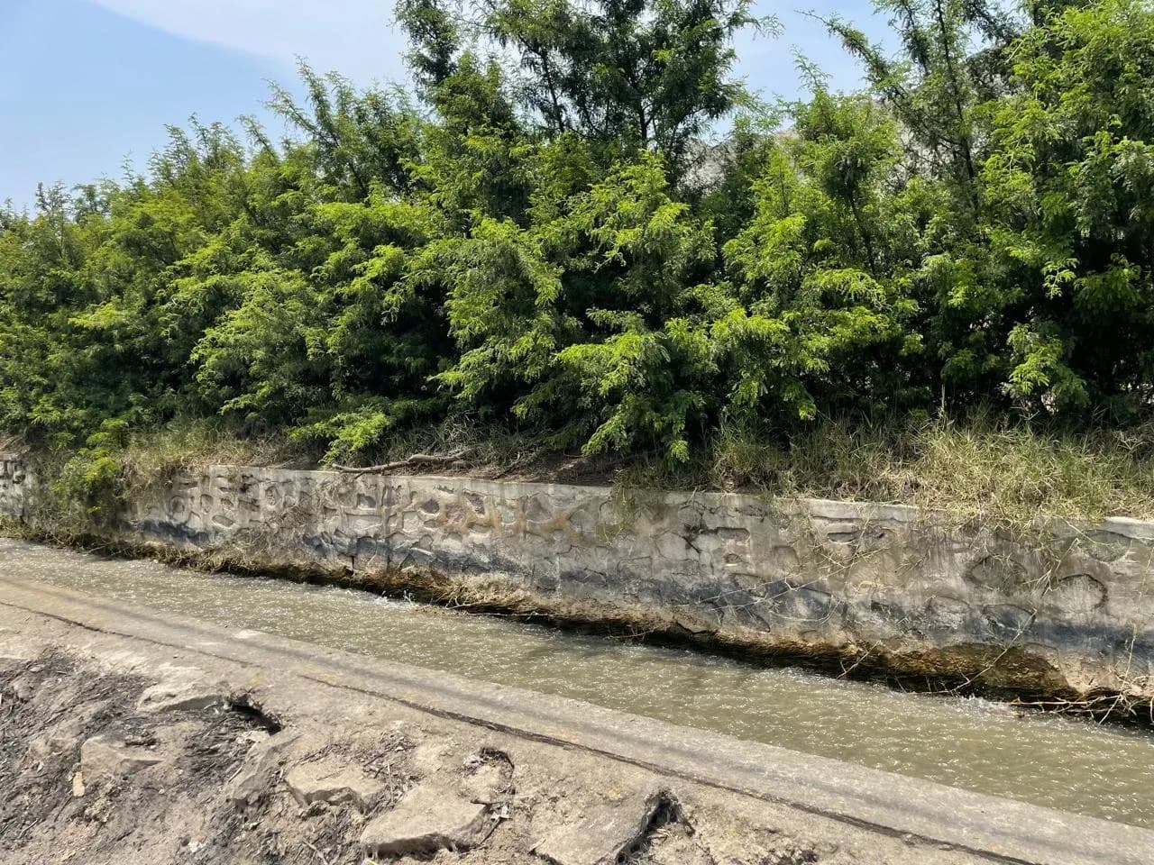 Terreno agrícola en Huaral ¡SE VENDE POR VIAJE! – foto 9