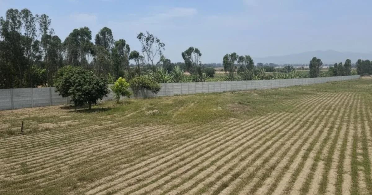Terreno en Aucallama-Huaral – Ideal Casa de Campo o Inversión – foto 3