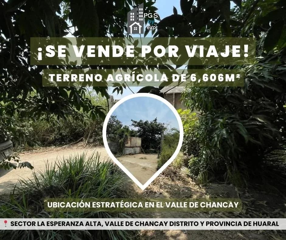 Terreno agrícola en Huaral ¡SE VENDE POR VIAJE!