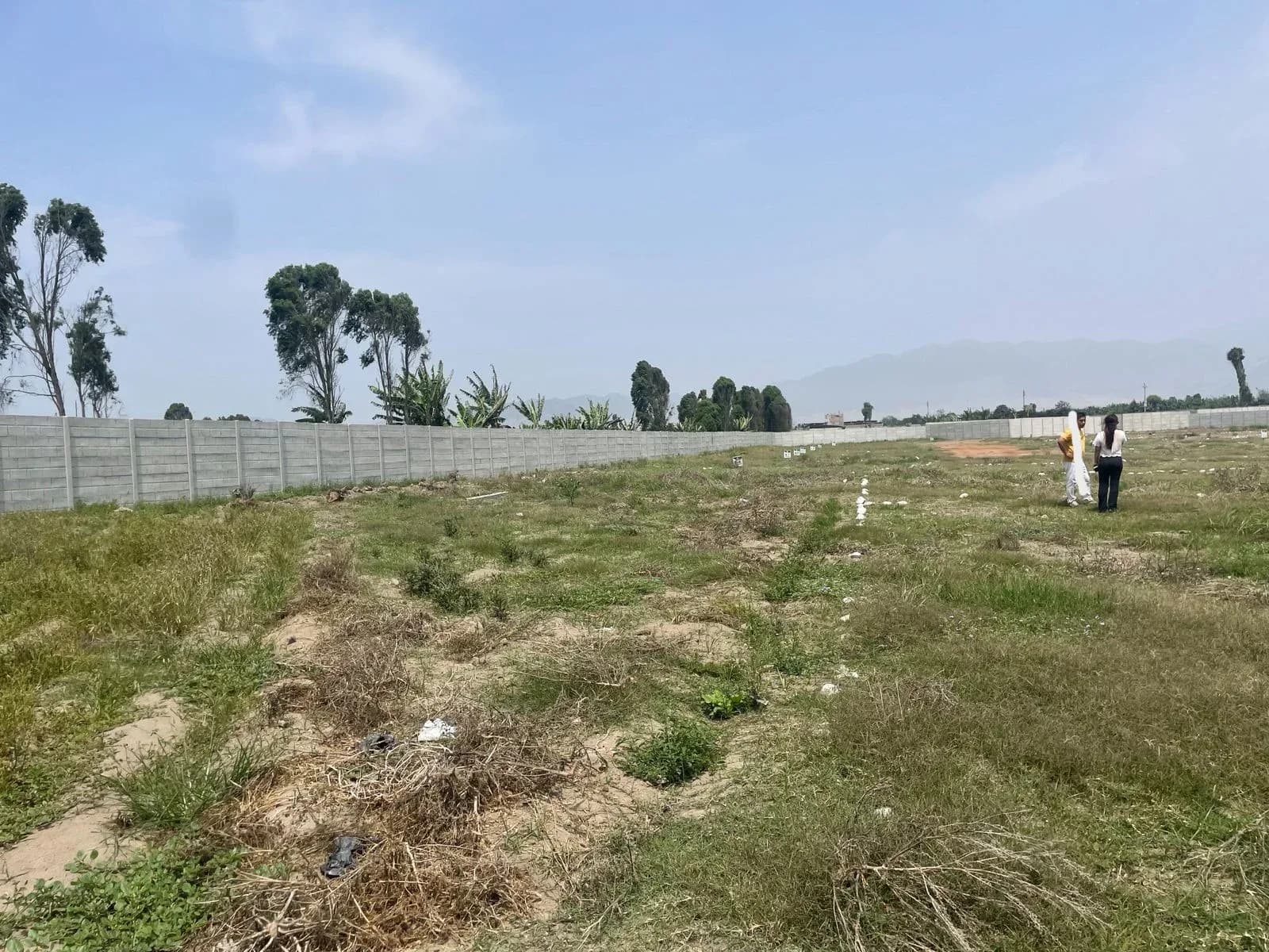 Terreno en Aucallama-Huaral – Ideal Casa de Campo o Inversión – foto 5