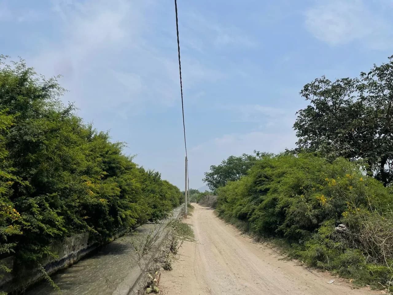 Terreno agrícola en Huaral ¡SE VENDE POR VIAJE! – foto 8