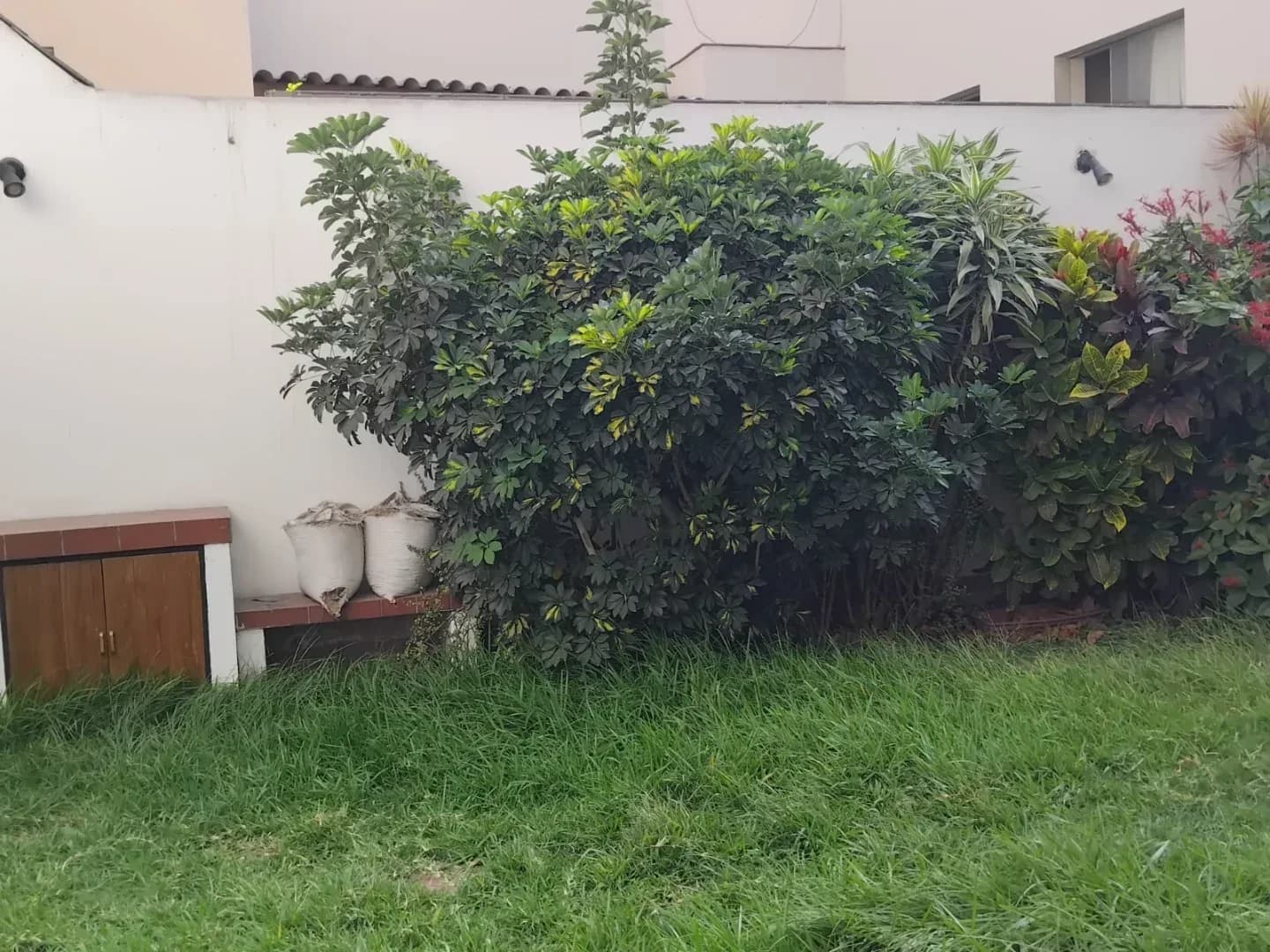 Alquilo Moderno departamento 200m2 Monterrico cerca Av. El polo 1er piso. Jardines – foto 3