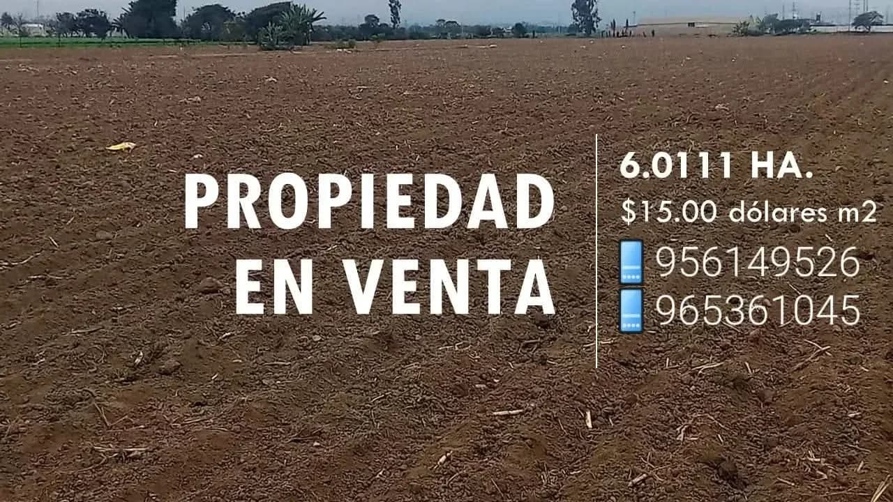 TERRENO EN VENTA(CASCO URBANO)