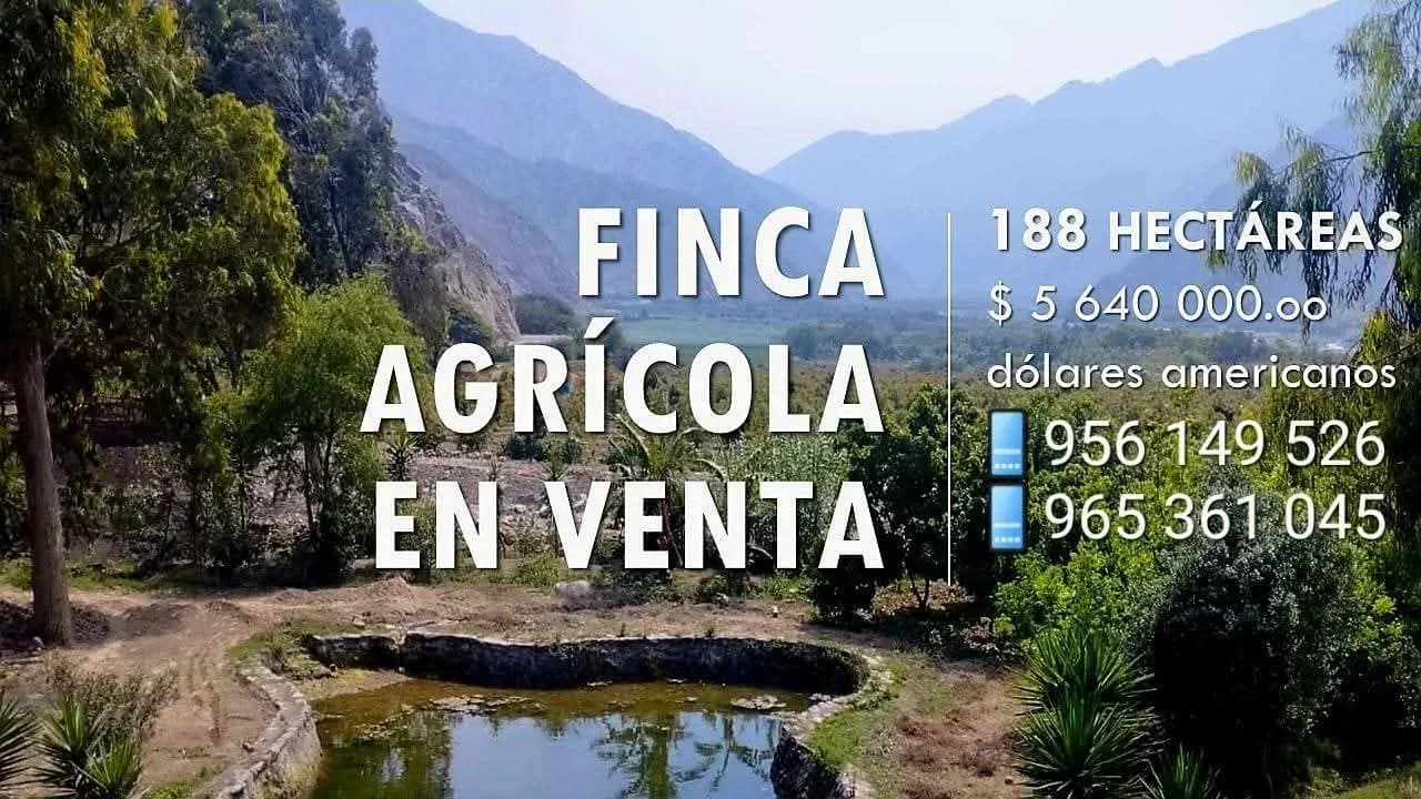 Fundo agrícola en venta