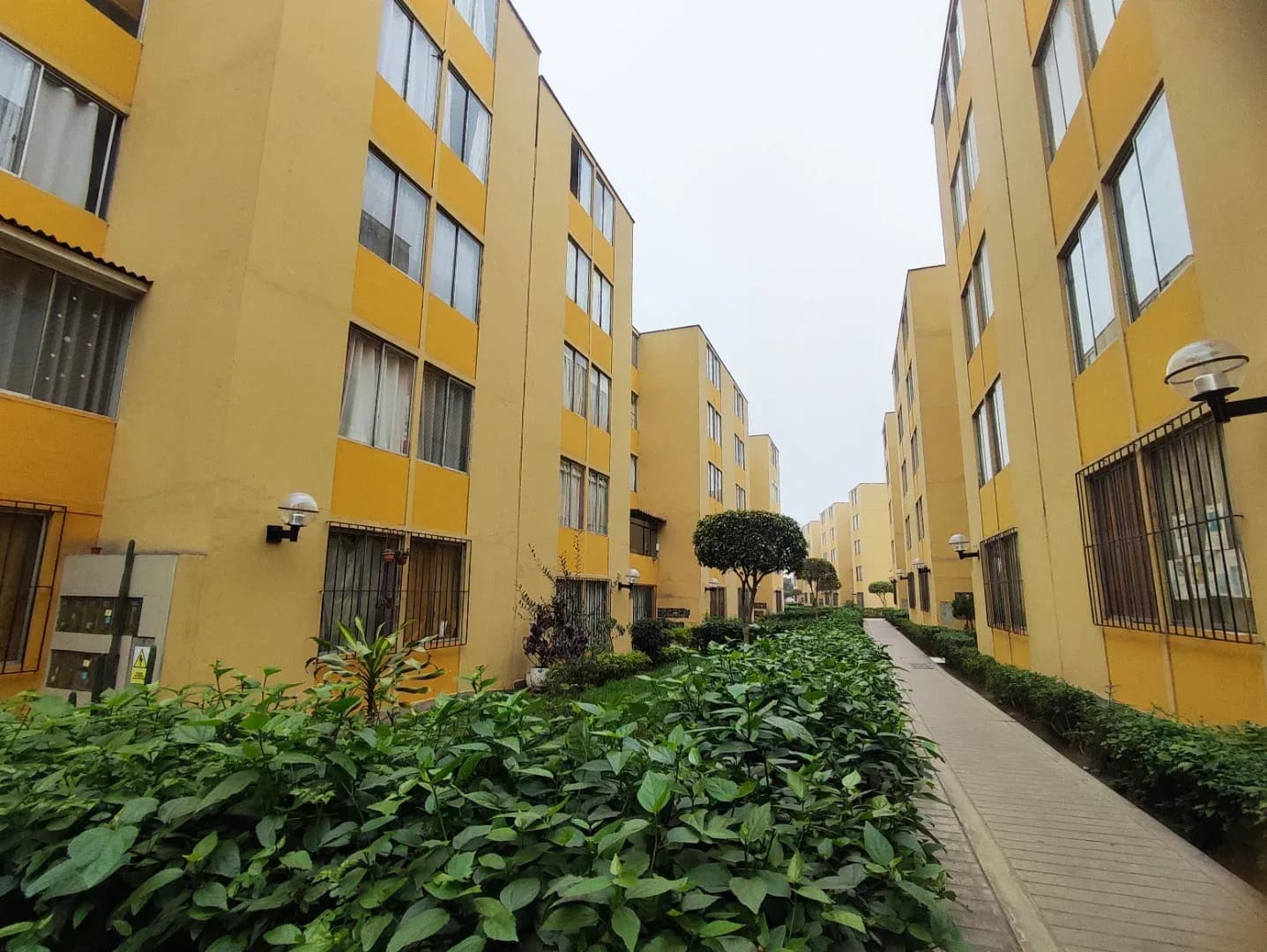 DEPARTAMENTO 2DO PISO EN VENTA 62 M2 CONDOMINIO LOS SAUCES – EL AGUSTINO – foto 8