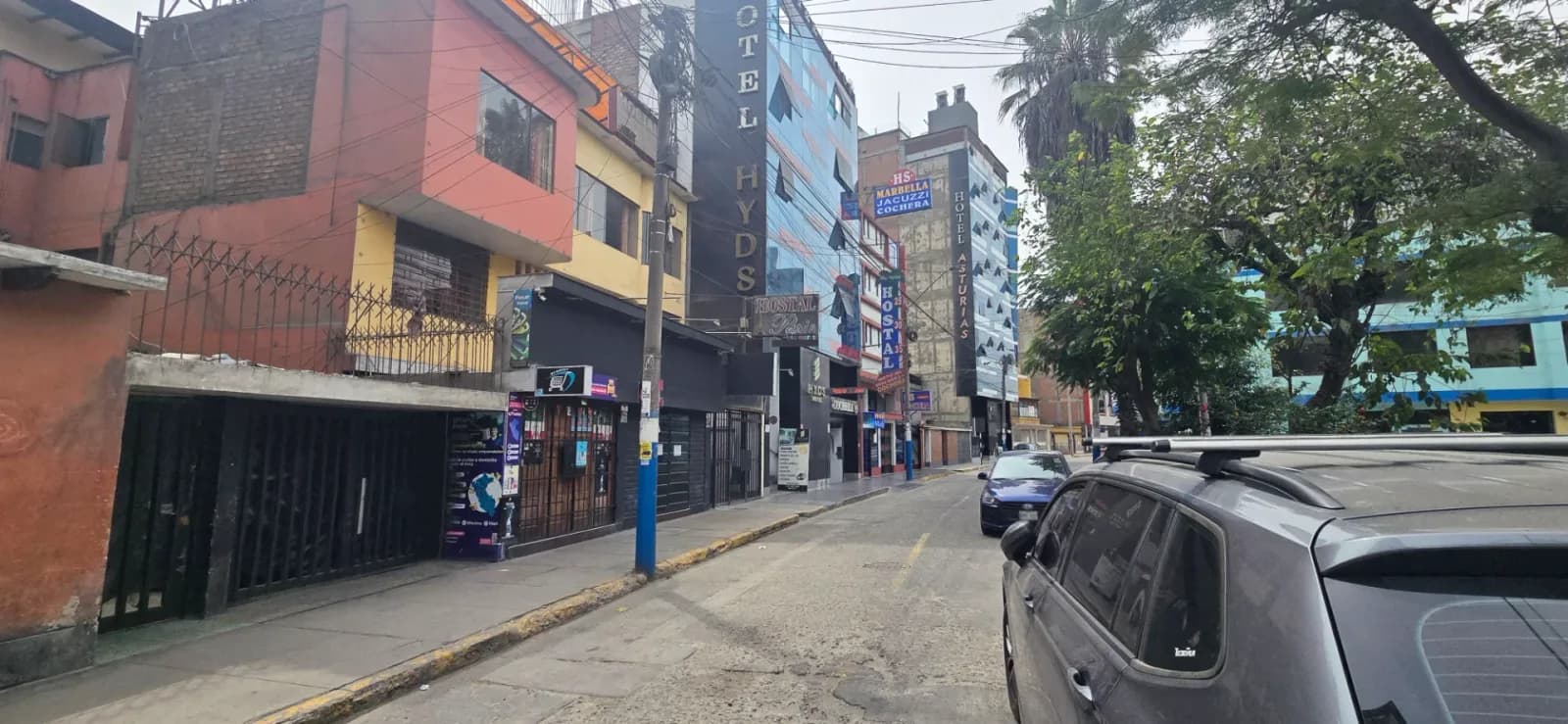 LOCAL COMERCIAL EN VENTA 270 M2 CALLE LAS PERDICES - SANTA ANITA – foto 2