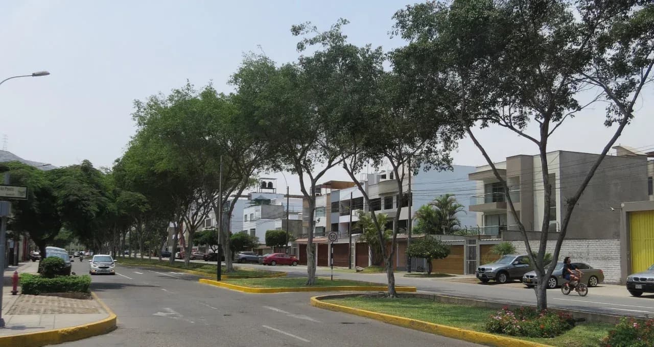 CASA 1 PISO EN VENTA 215 M2 AV. LA FONTANA – LA MOLINA – foto 3