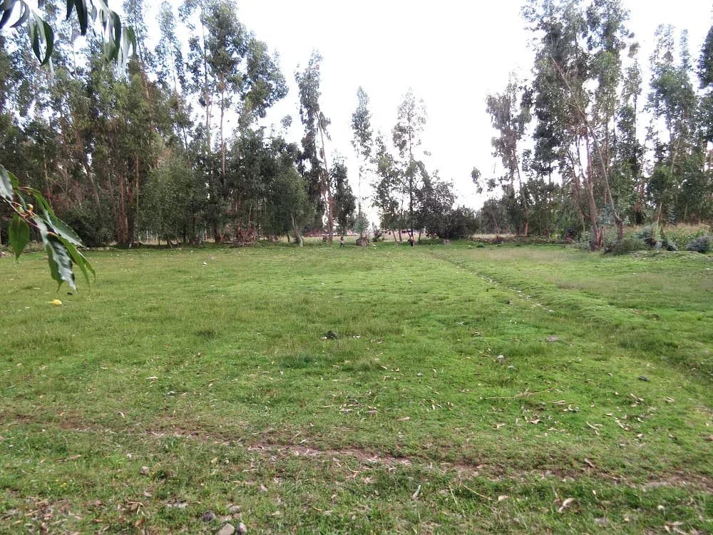 TERRENO EN VENTA 1056 M2 URPAYCANCHA - EL TAMBO - HUANCAYO – foto 2