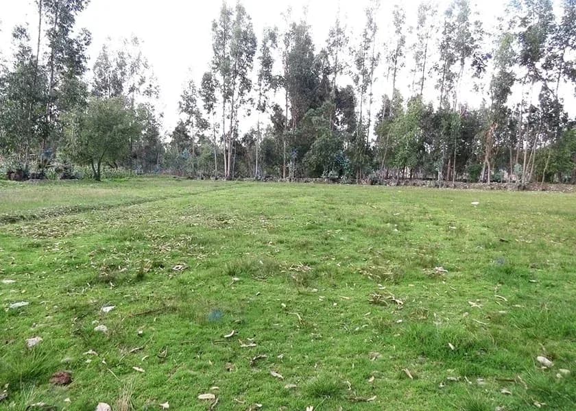 TERRENO EN VENTA 1056 M2 URPAYCANCHA - EL TAMBO - HUANCAYO