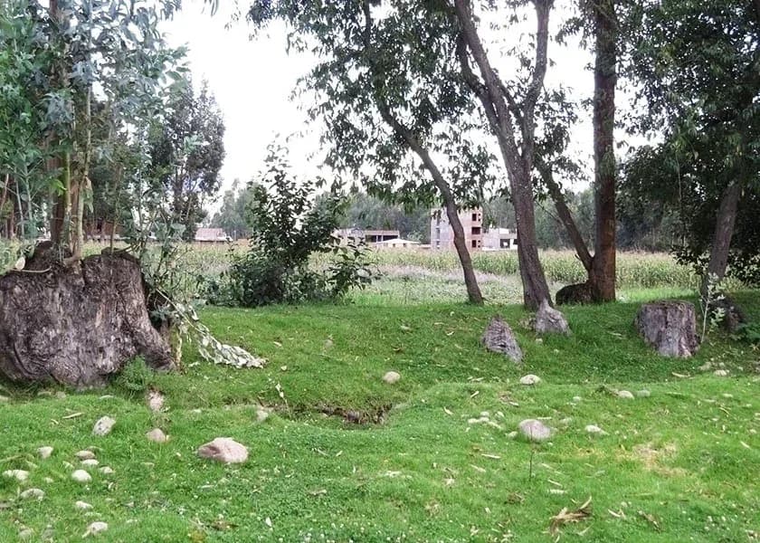 TERRENO EN VENTA 1056 M2 URPAYCANCHA - EL TAMBO - HUANCAYO – foto 5