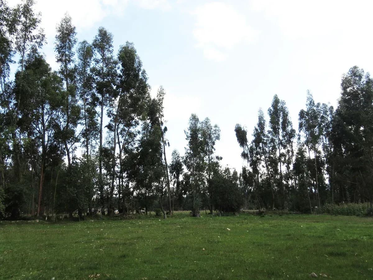 TERRENO EN VENTA 1056 M2 URPAYCANCHA - EL TAMBO - HUANCAYO – foto 6
