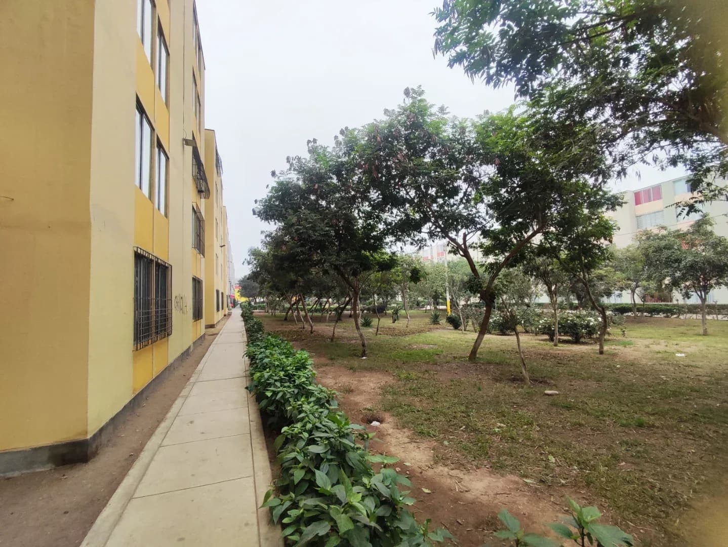 DEPARTAMENTO 2DO PISO EN VENTA 62 M2 CONDOMINIO LOS SAUCES – EL AGUSTINO – foto 10