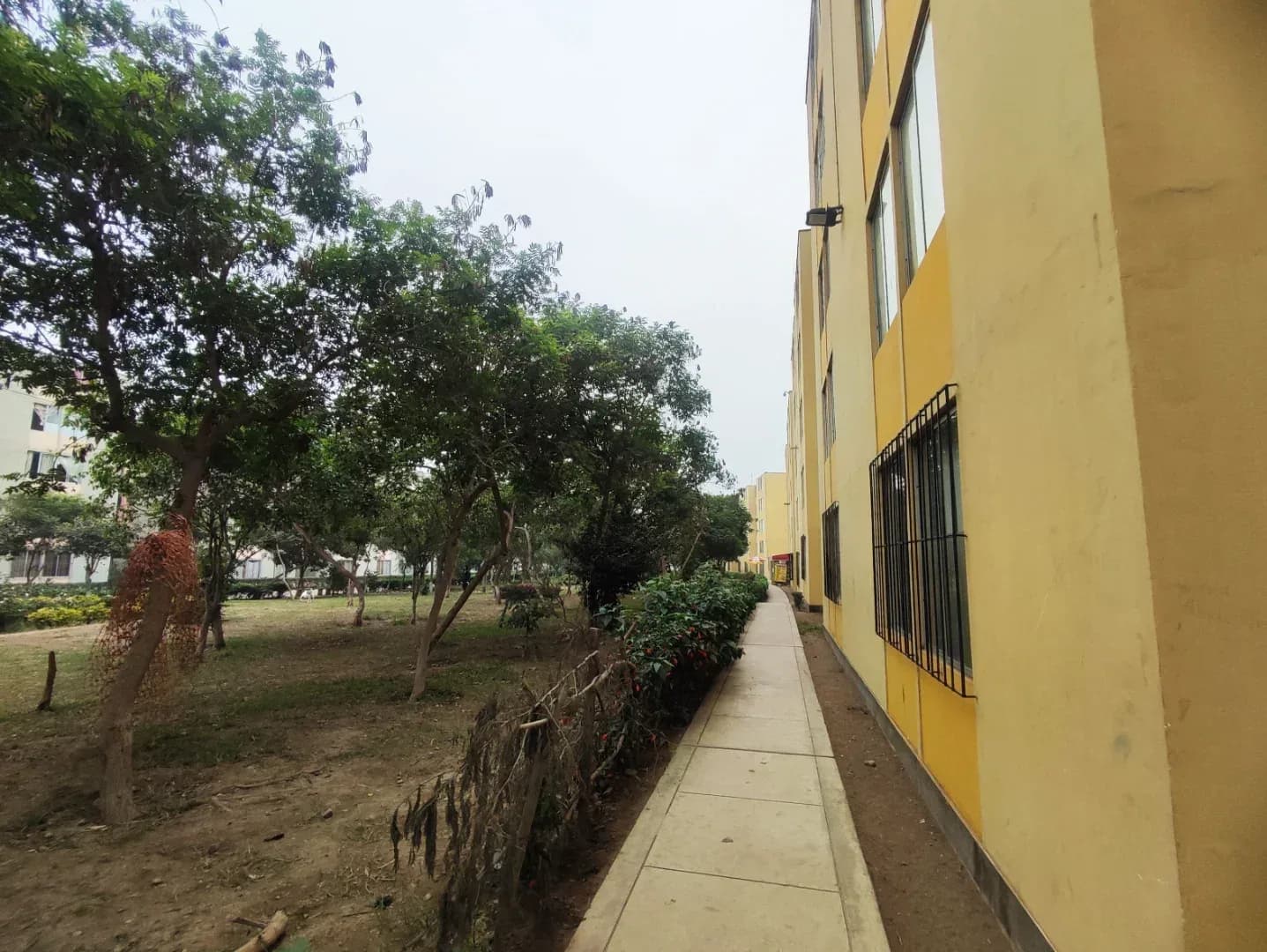 DEPARTAMENTO 2DO PISO EN VENTA 62 M2 CONDOMINIO LOS SAUCES – EL AGUSTINO – foto 9