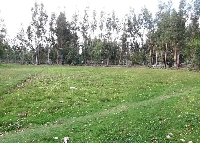 TERRENO EN VENTA 1056 M2 URPAYCANCHA - EL TAMBO - HUANCAYO – foto 3