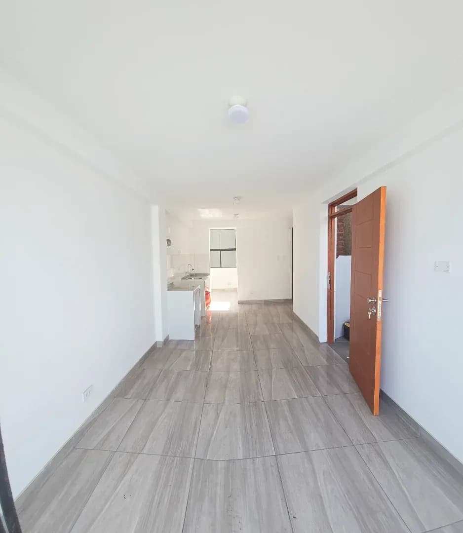 DEPARTAMENTOS EN VENTA 73 M2 CALLE BRUSELAS - ATE â foto 2