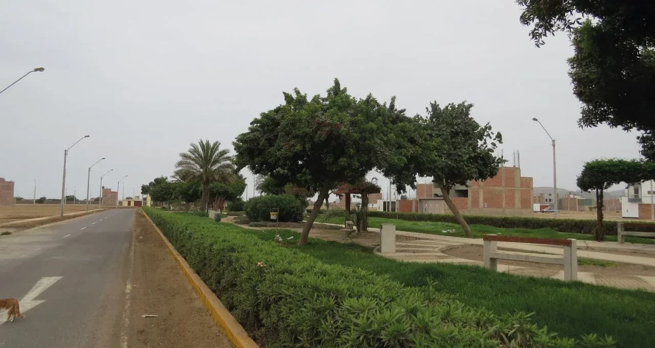 TERRENO EN VENTA 91 M2 LA ALAMEDA DE LIMA SUR – CHILCA – foto 4