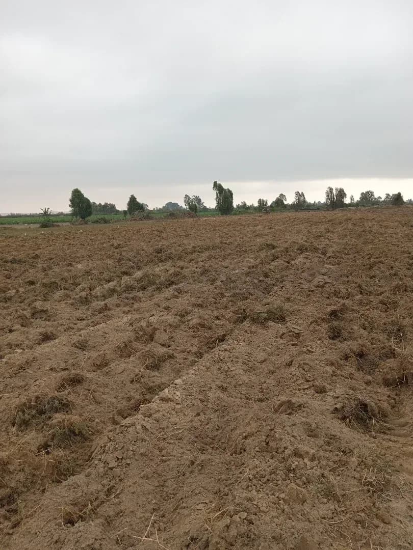 Remato terreno 9hectareas Ica pisco Distrito independencia – foto 9