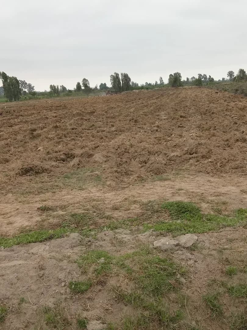 Remato terreno 9hectareas Ica pisco Distrito independencia – foto 8