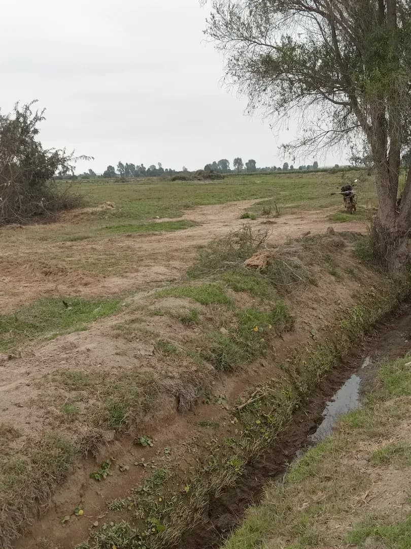 Remato terreno 9hectareas Ica pisco Distrito independencia – foto 6