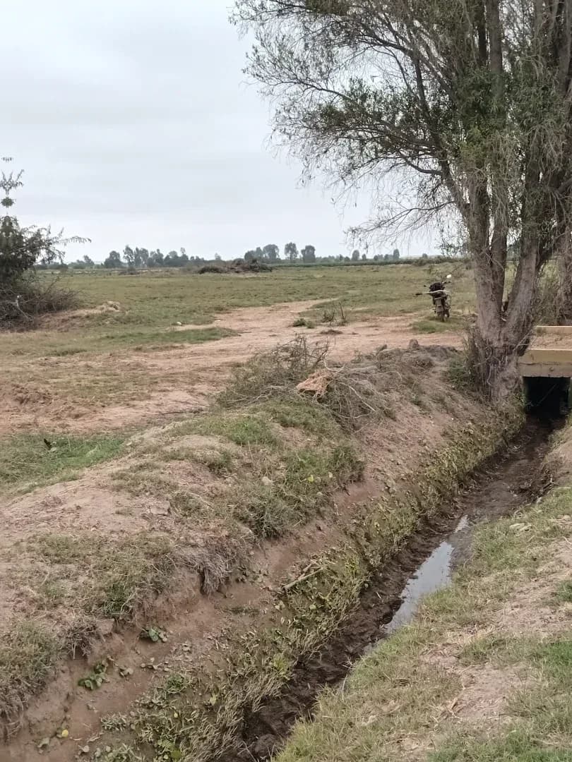 Remato terreno 9hectareas Ica pisco Distrito independencia – foto 7