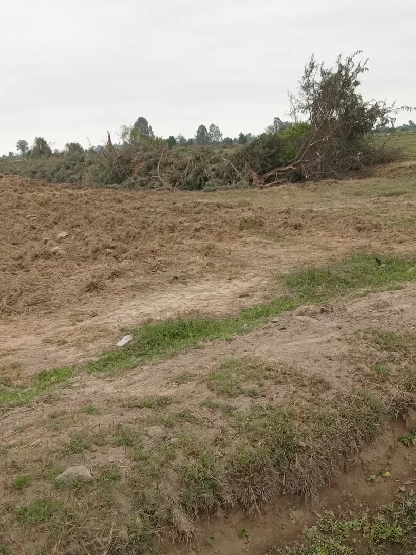 Remato terreno 9hectareas Ica pisco Distrito independencia – foto 4