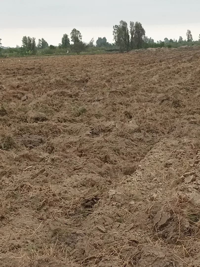 Remato terreno 9hectareas Ica pisco Distrito independencia – foto 3