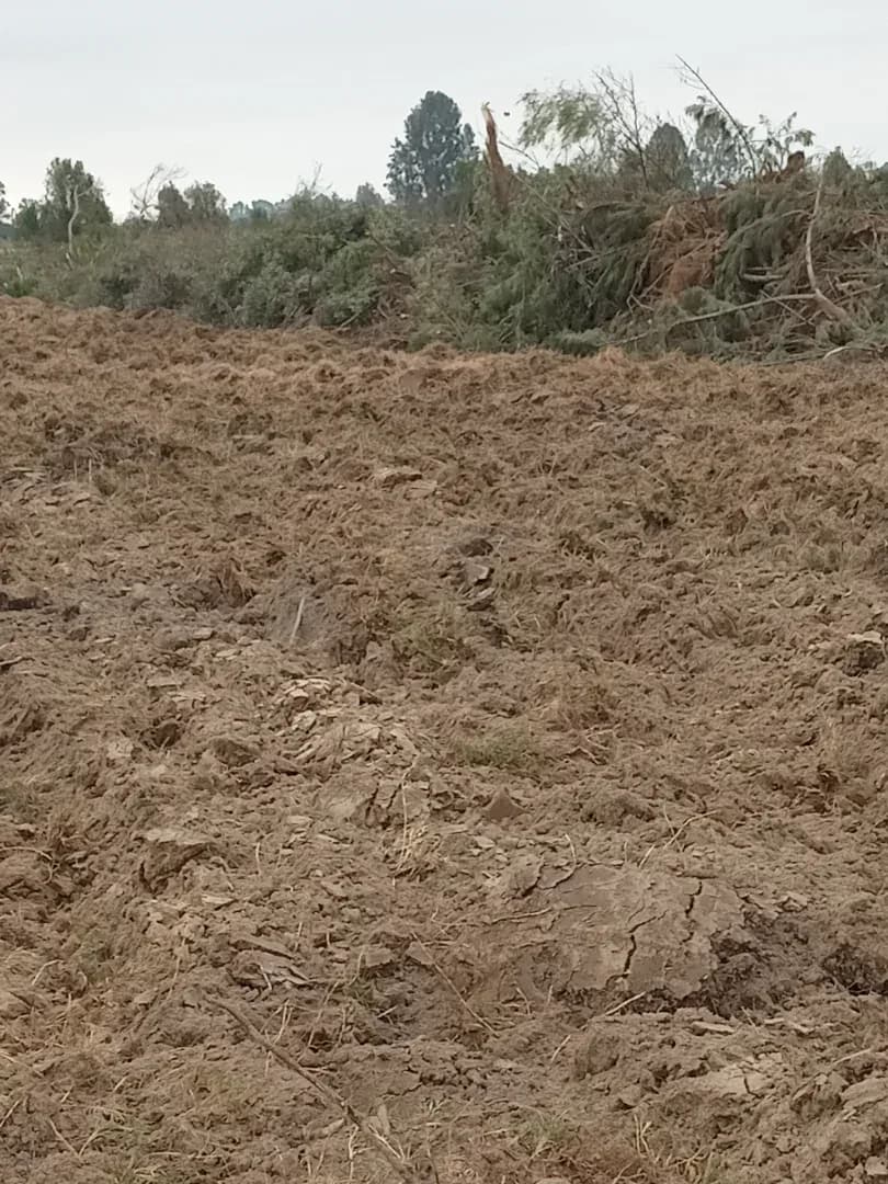 Remato terreno 9hectareas Ica pisco Distrito independencia – foto 5