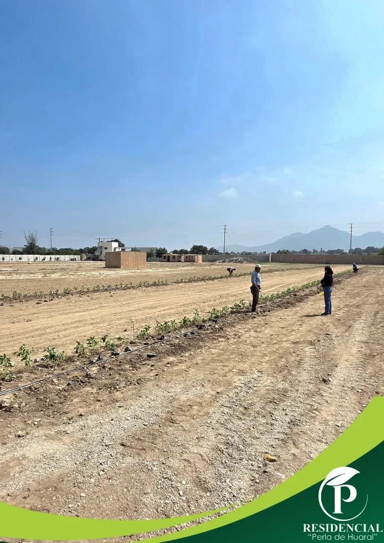 Terrenos para casas de campo